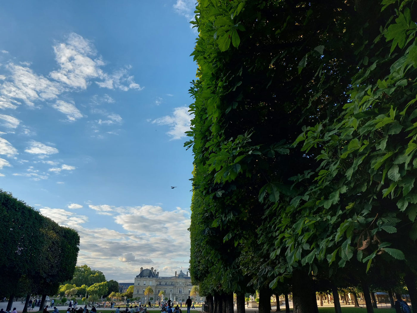 paris nulle part ailleurs jardin luxembourg diagne chanel